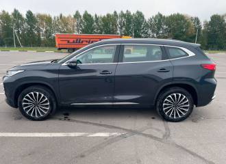 Образец цвета GW HAVANA GREY на автомобиле - №2