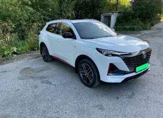 Образец цвета C01 MOONLIGHT WHITE на автомобиле - №1