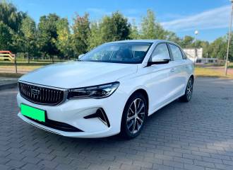 Образец цвета A08 WHITE на автомобиле - №1