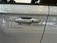 GEELY C46 | STARRY GREY (STAR GREY, 星空灰) 9