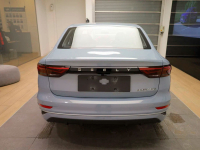 GEELY C46 | STARRY GREY (STAR GREY, 星空灰) 5