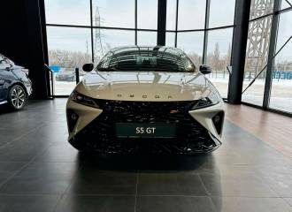 Образец цвета GX SCIENCE GREY на автомобиле - №0