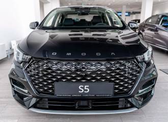 Образец цвета GW HAVANA GREY на автомобиле - №0