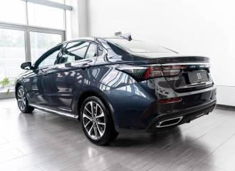 Образец цвета GW HAVANA GREY на автомобиле - №2