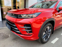 EXEED NL | BLOODSTONE RED (TRENDY RED, ФУАР, ФУОР, ФУОРА, 血石红) 7