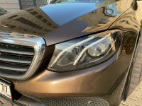 MERCEDES 796, 796U, 8796 | CITRINBRAUN (CITRINE BROWN, DAKOTA BROWN, MARRONE CITRINO, КОРИЧНЕВЫЙ ЦИТРИН, 檸檬棕, 水晶棕) 9