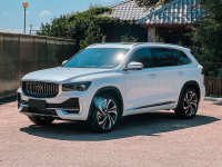 GEELY A13 | OYSTER WHITE (牡蛎白) 2