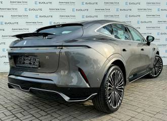 Образец цвета SK6 INK GREY на автомобиле - №3