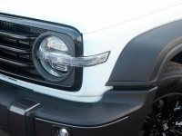 TANK 09F, 9F | PURE WHITE (RUI XUE BAI PEARL, БЕЛЫЙ ОЛЬХОН) 4