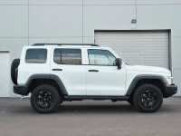 TANK 09F, 9F | PURE WHITE (RUI XUE BAI PEARL, БЕЛЫЙ ОЛЬХОН) 5