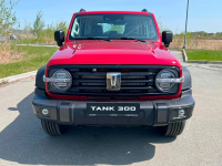 TANK 1Y, UW, 01Y, WEY01 | MARS RED (SCARLET RED, КРАСНЫЙ ЭЛЬТОН, 马尔斯红) 2