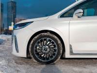 VOYAH LT6 | PEARL WHITE (АРКТИЧЕСКИЙ БЕЛЫЙ, 杜若白) 13