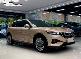 Образец цвета LT1 LIGHT GOLD на автомобиле - №0