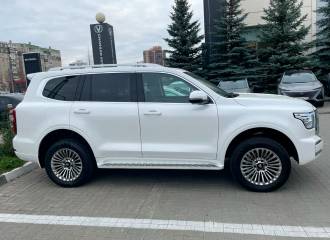 Образец цвета 9D SNOW WHITE на автомобиле - №2