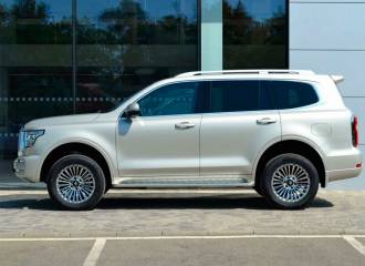 Образец цвета A01 A01 GOLD на автомобиле - №2