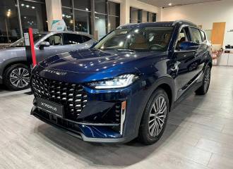 Образец цвета WB NAVY BLUE на автомобиле - №1