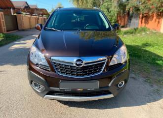 Образец цвета 41X ESPRESSOBRAUN на автомобиле - №0