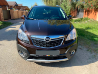 OPEL 41X, GYO, 204V | ESPRESSOBRAUN (DEEP ESPRESSO, ROSEWOOD, 可可棕) 2