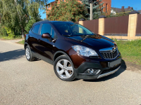 OPEL 41X, GYO, 204V | ESPRESSOBRAUN (DEEP ESPRESSO, ROSEWOOD, 可可棕) 3