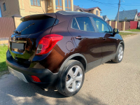 OPEL 41X, GYO, 204V | ESPRESSOBRAUN (DEEP ESPRESSO, ROSEWOOD, 可可棕) 4