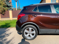 OPEL 41X, GYO, 204V | ESPRESSOBRAUN (DEEP ESPRESSO, ROSEWOOD, 可可棕) 6