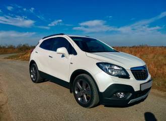 Образец цвета GYN SNOWFLAKE WHITE на автомобиле - №1