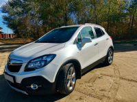 OPEL GYN, 203V | SNOWFLAKE WHITE (BLANC FLOCON, CREMEWEISS) 4