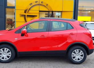 Образец цвета GG2 LAVAROT на автомобиле - №1