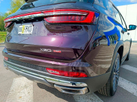 JETOUR QR114, 114 | PURPLE (ФИОЛЕТОВЫЙ ДРАКОН) 5