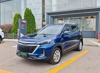 Образец цвета 077 BLUE на автомобиле - №1