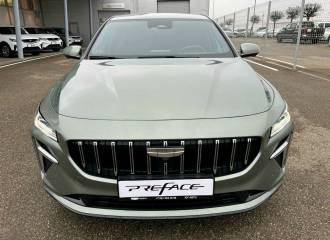 Образец цвета I38 LICHENOUS на автомобиле - №1