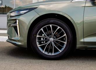 Образец цвета I38 LICHENOUS на автомобиле - №3