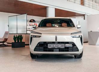 Образец цвета A0A GOLD на автомобиле - №0