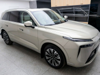 WEY A0A | GOLD (A0A GOLD, A0A金/流光金) 3