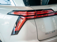 WEY A0A | GOLD (A0A GOLD, A0A金/流光金) 5