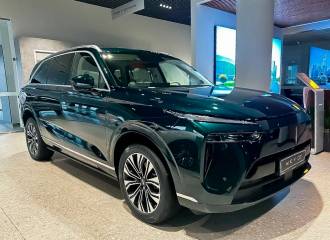 Образец цвета LA LA GREEN на автомобиле - №1