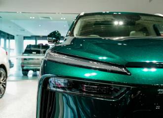 Образец цвета LA LA GREEN на автомобиле - №2