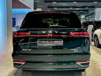 WEY LA | LA GREEN (松柏绿/墨夜绿) 5