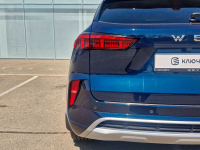 WEY 7Y, H4 | DREAM BLUE (ОКЕАНИЧЕСКИЙ СИНИЙ, 梦幻蓝/漓江蓝) 11