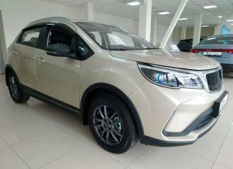 Образец цвета BEIGE на автомобиле - №1