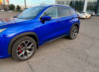 Образец цвета СИРИУС на автомобиле - №1