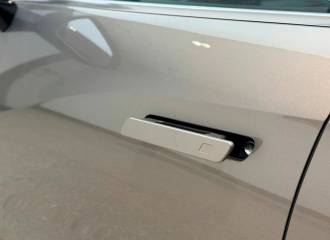 Образец цвета BROWN на автомобиле - №3