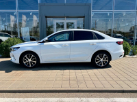 BELGEE A08 | WHITE (BLANCO FROST, 白色) 4