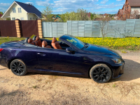 LEXUS 9AL | DEEP GARNET (CATTLEYA, 深紫云母色, 羅蘭紫) 4