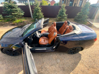 LEXUS 9AL | DEEP GARNET (CATTLEYA, 深紫云母色, 羅蘭紫) 7