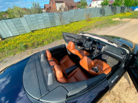 LEXUS 9AL | DEEP GARNET (CATTLEYA, 深紫云母色, 羅蘭紫) 8