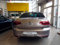 VOLKSWAGEN LC1W, C1W, 9V | SEA SHELL GOLD () 4