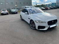 JAGUAR 1AA, 2135, NER | FUJI/POLARIS WHITE (FUJI WHITE, 极光白) 3