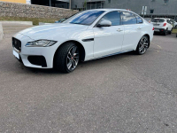 JAGUAR 1AA, 2135, NER | FUJI/POLARIS WHITE (FUJI WHITE, 极光白) 4