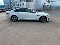 JAGUAR 1AA, 2135, NER | FUJI/POLARIS WHITE (FUJI WHITE, 极光白) 5